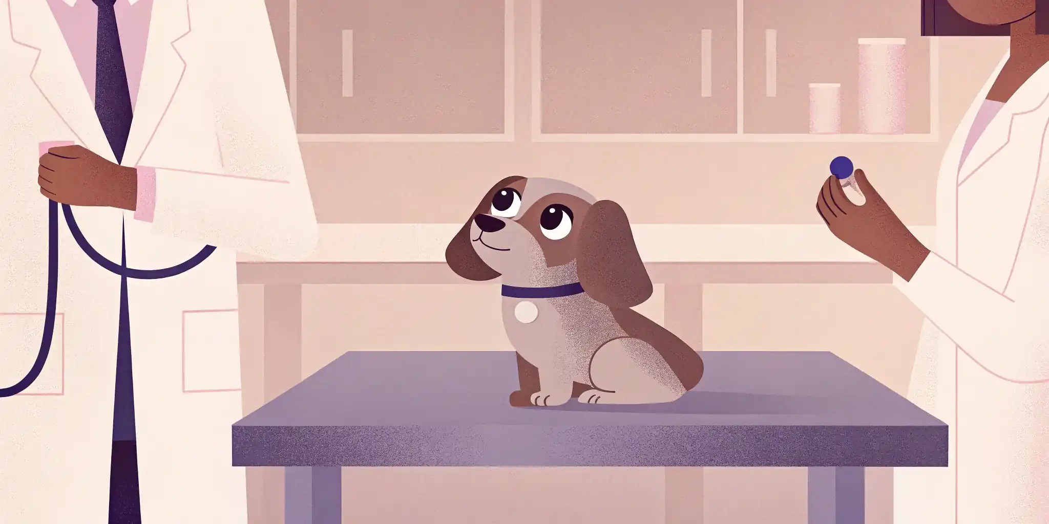 Puppy's First Vet Visit: Tips & Questions