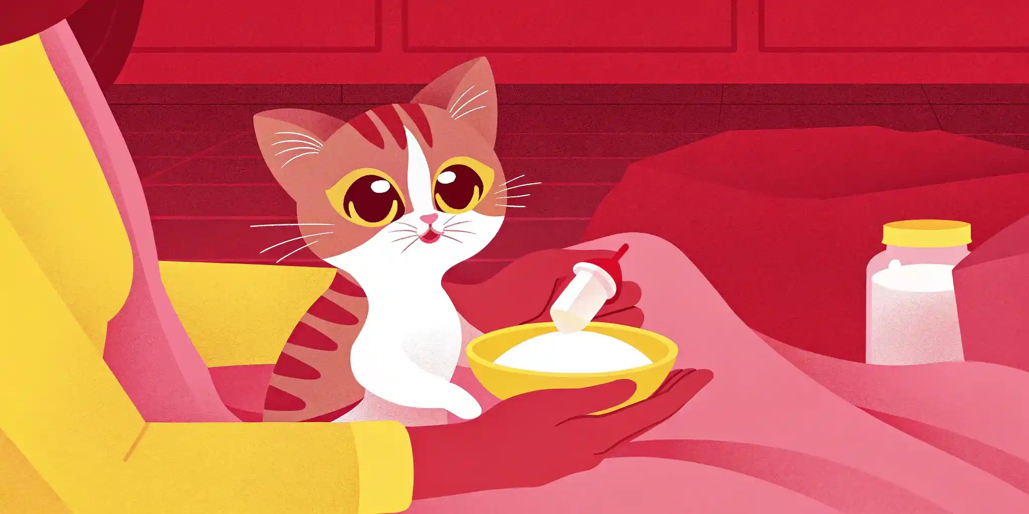 Kitten Nutrition: Feeding Your Furball Right!