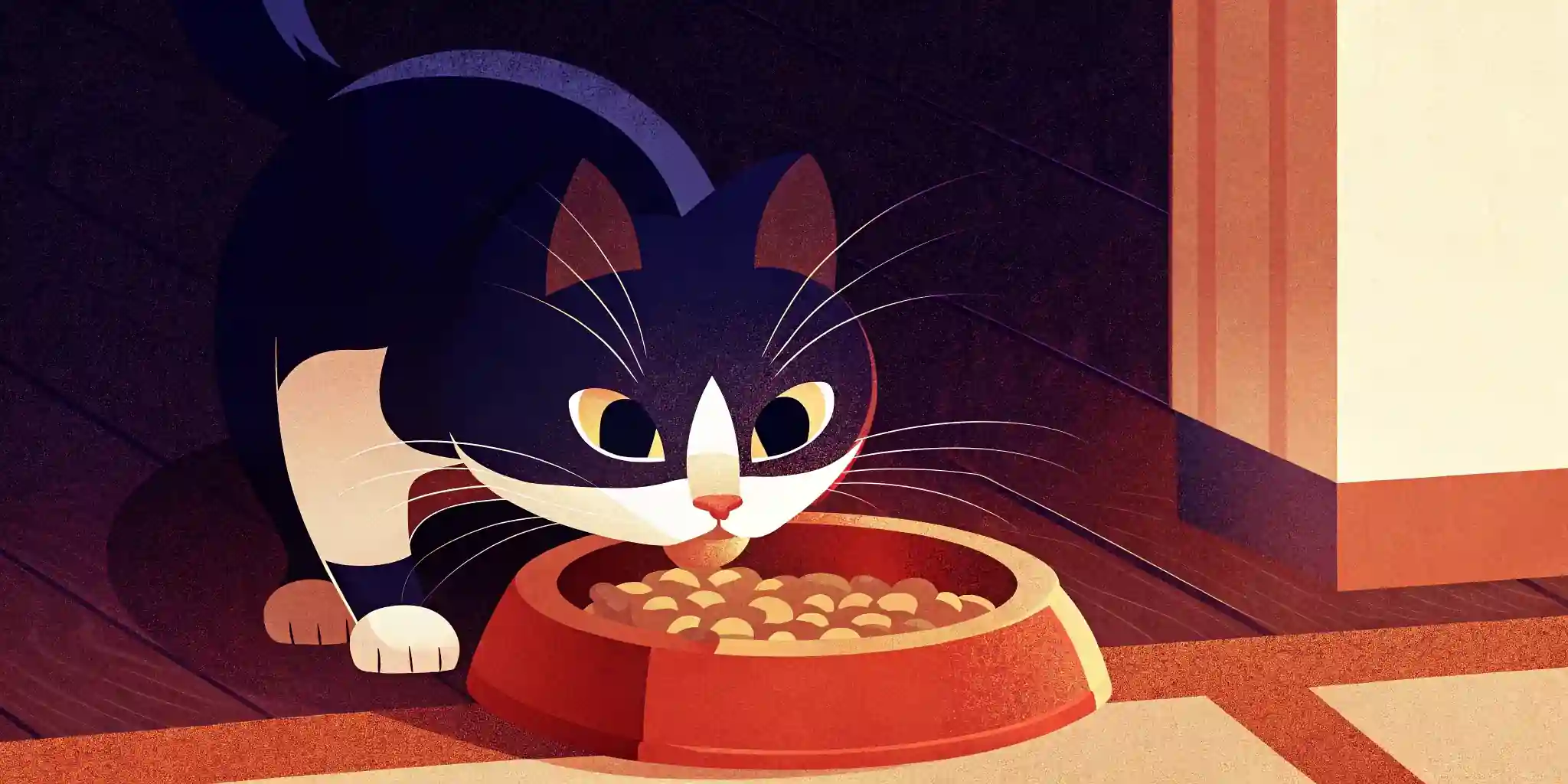 Adult Cat Nutrition: Wet or Dry Food?