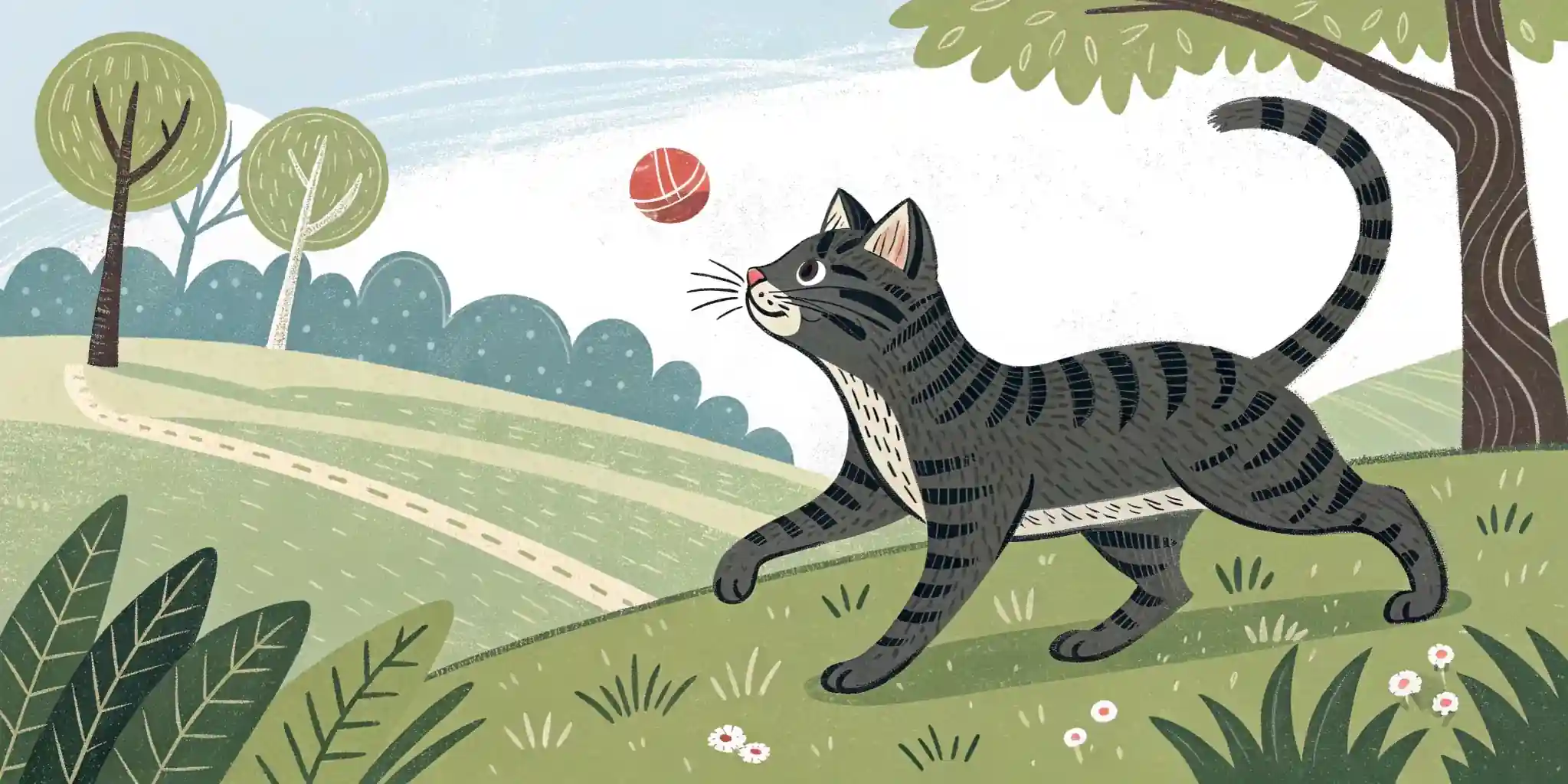 Indoor vs. Outdoor Cats: Which is Best?