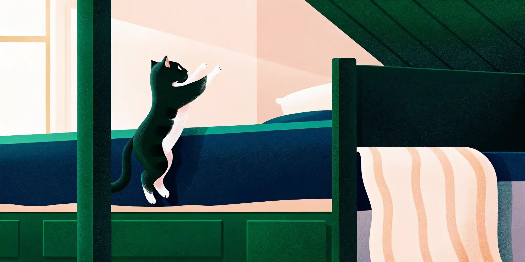 Kitten Behavior: Decode the Climbs & Scratches