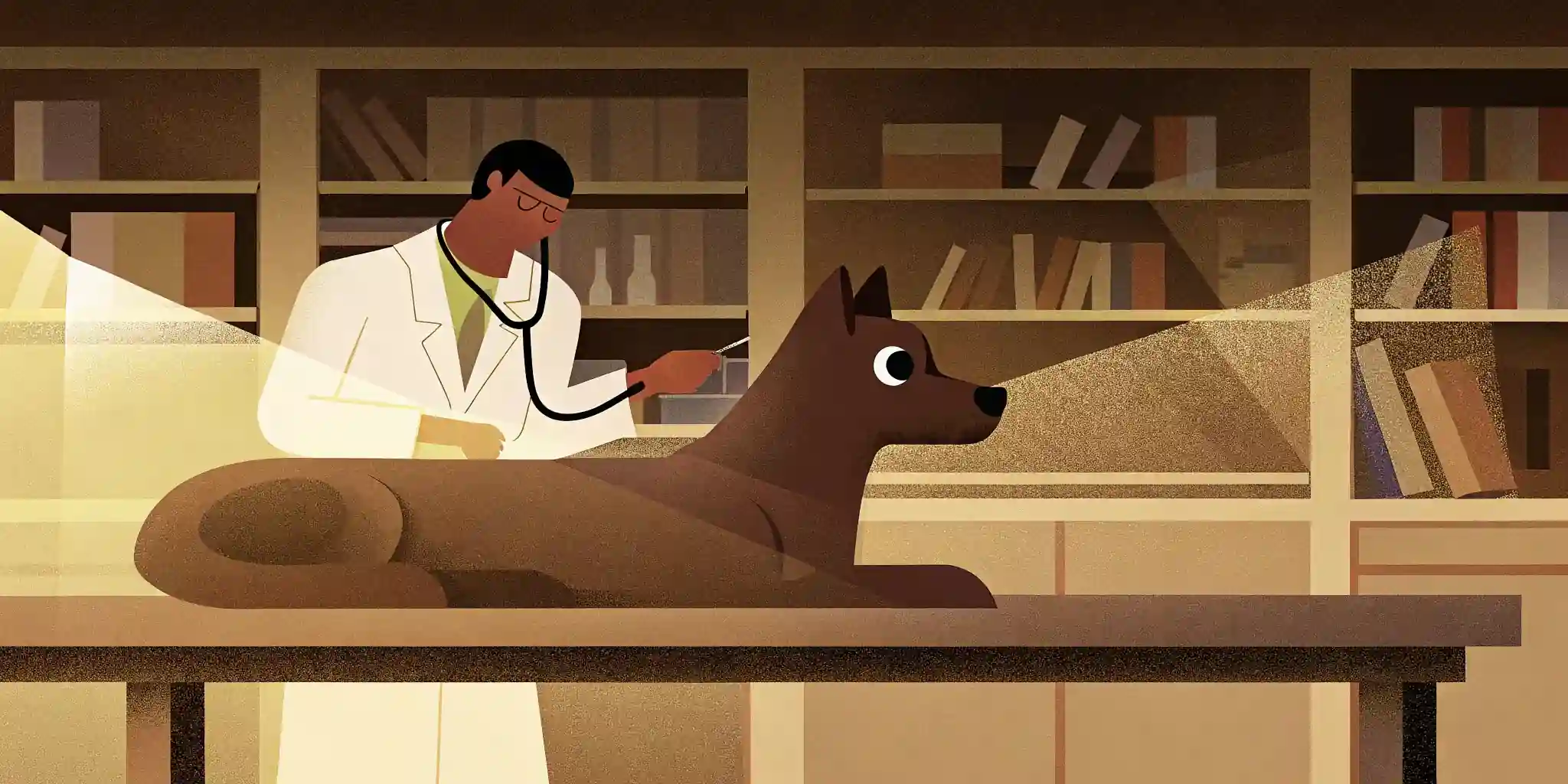 Dog Vet Checkups: Keep Your Best Friend Healthy!