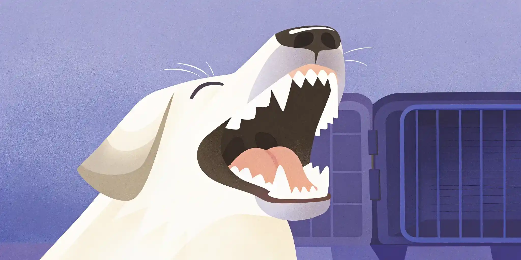 Dog Dental Health: Easy Tips for a Happy Smile!