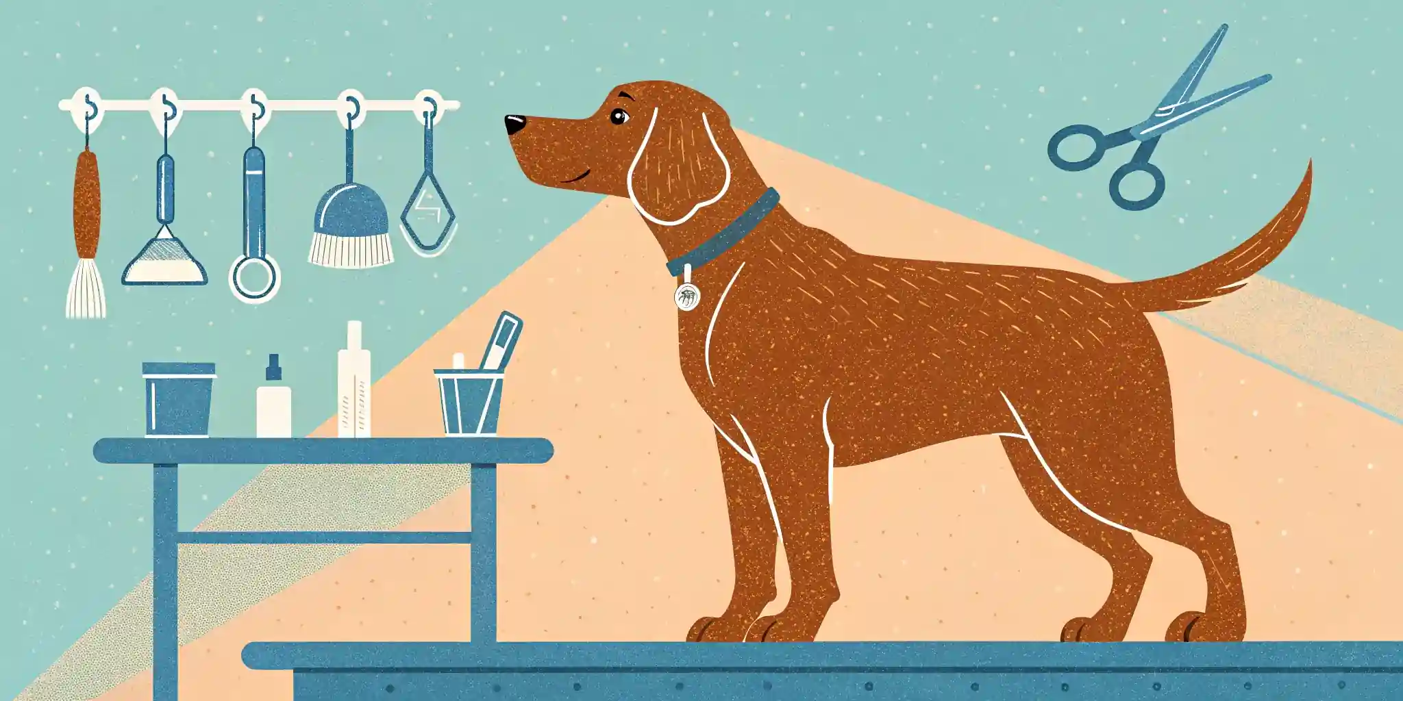 Dog Grooming Guide: Coat, Nails, Ears & More!