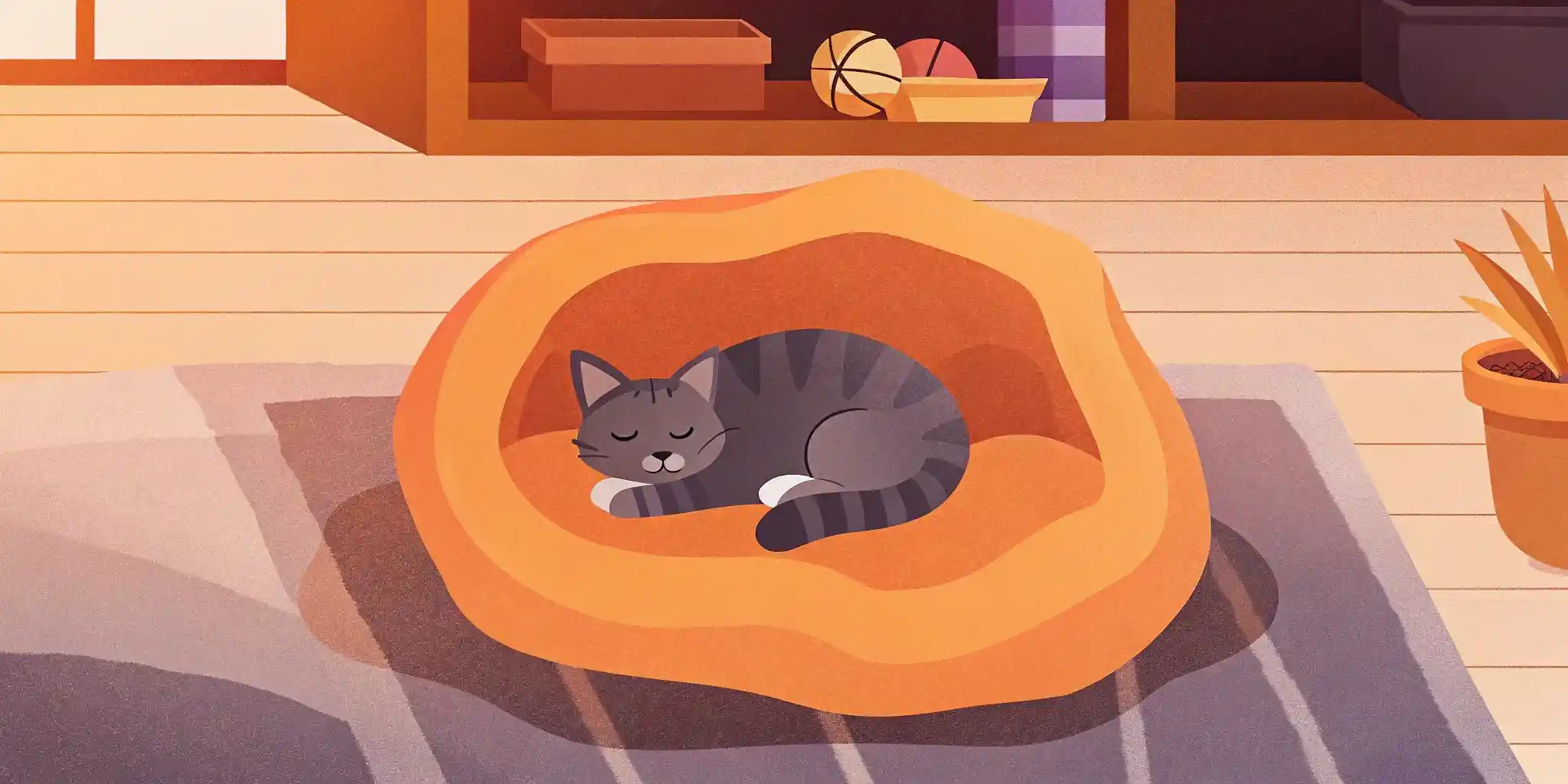 Kitten-Proof Your Home: New Pet Prep Guide