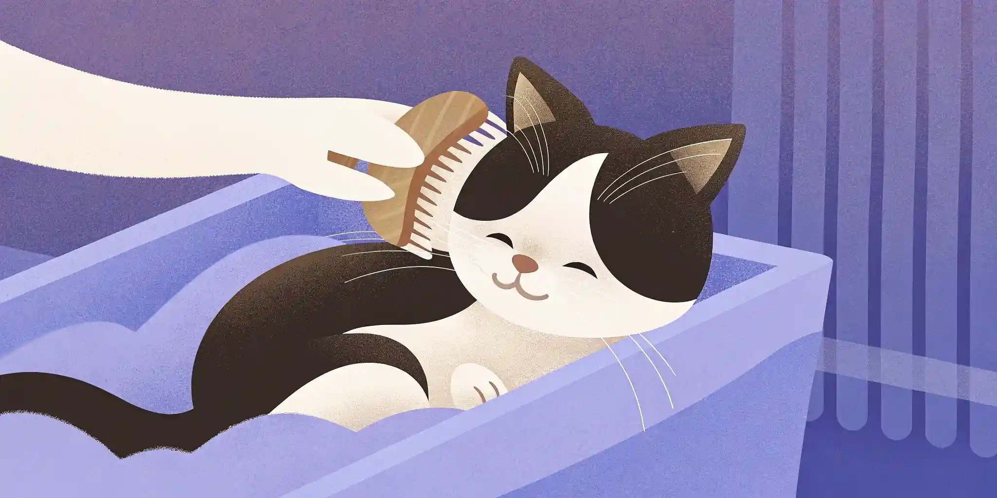 Kitten Grooming: Brushing & Nail Trims 101
