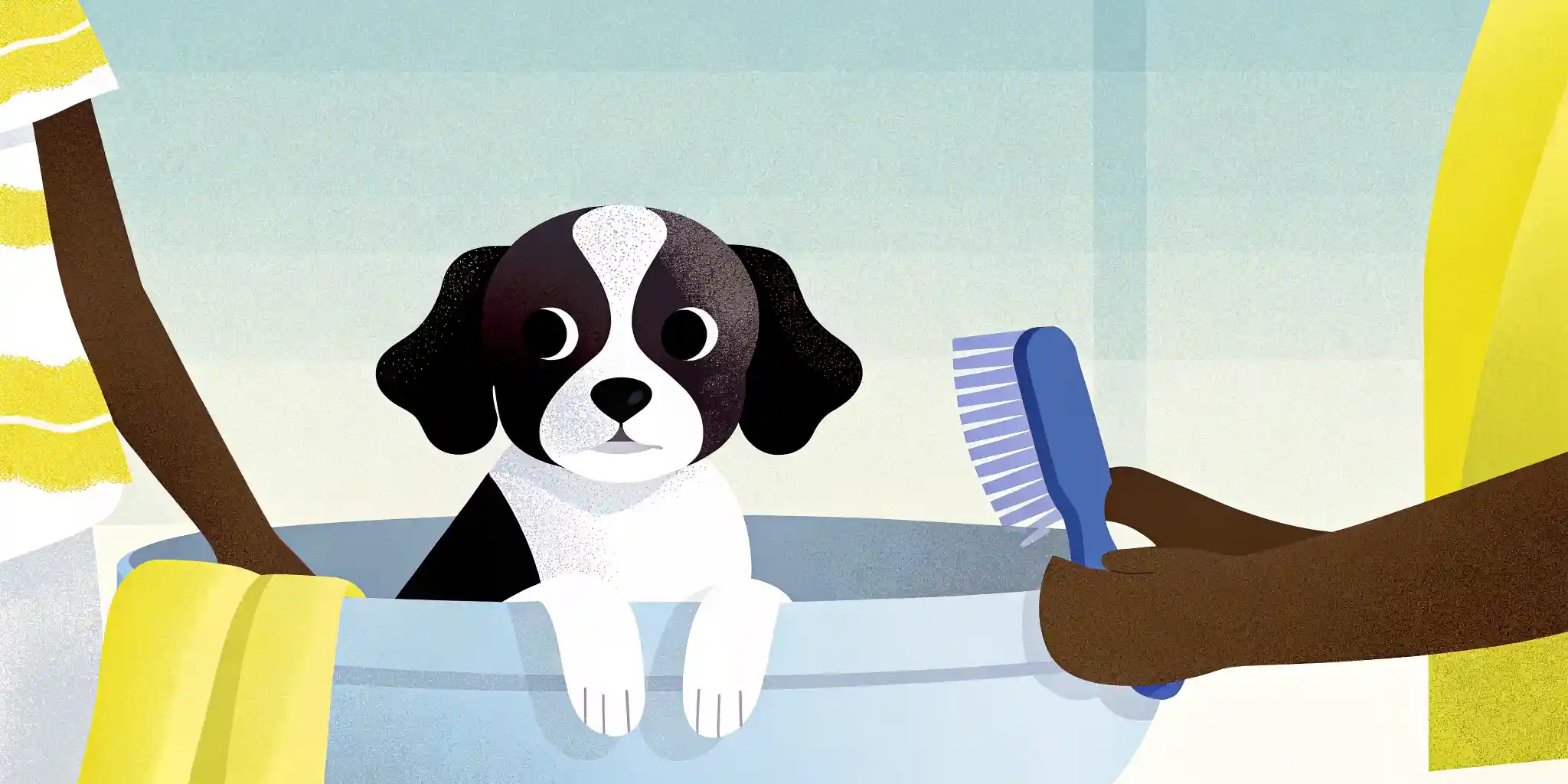 Puppy Grooming: Easy Basics for a Happy Pup