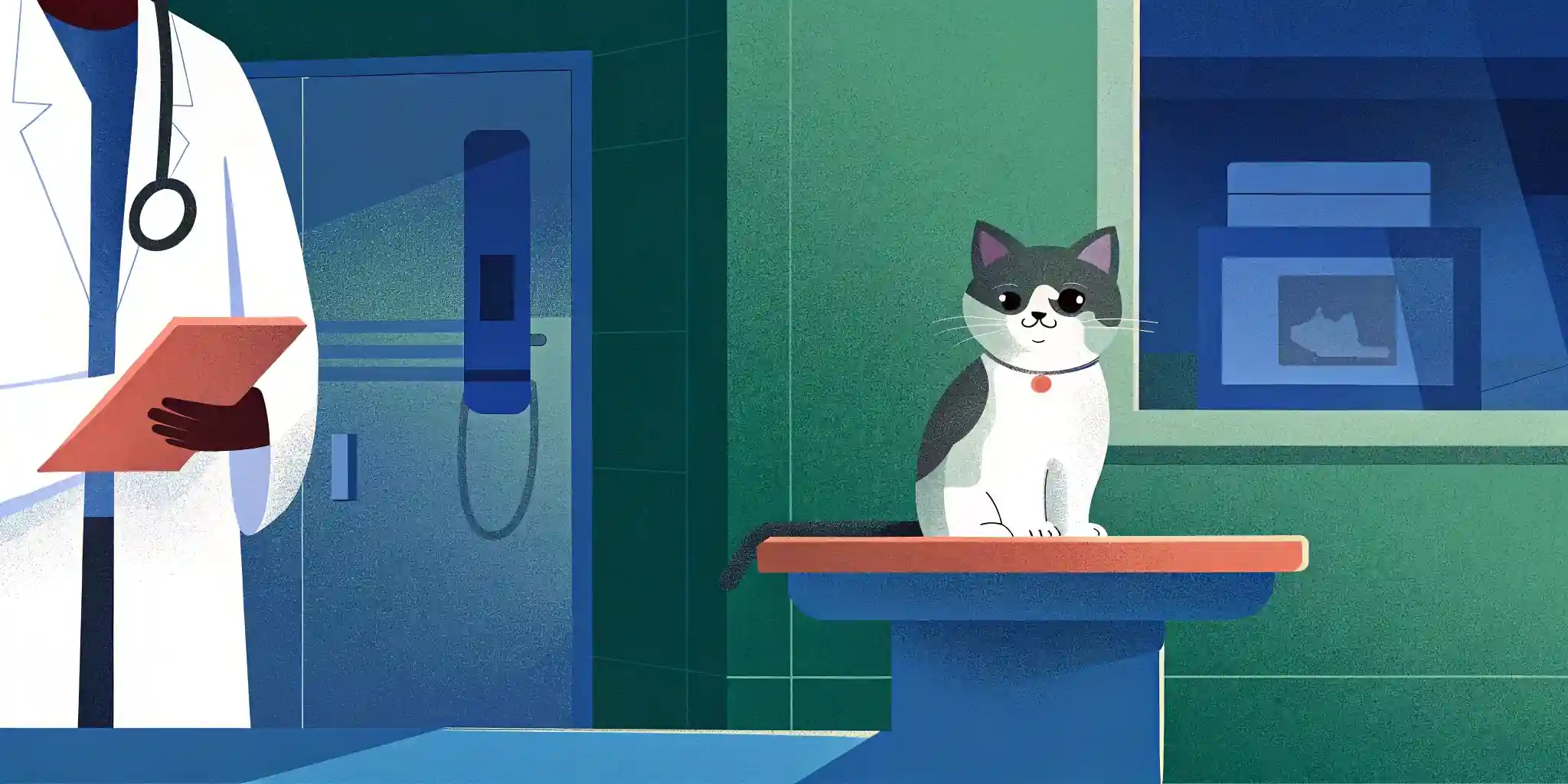 Kitten's First Vet Visit: What to Expect