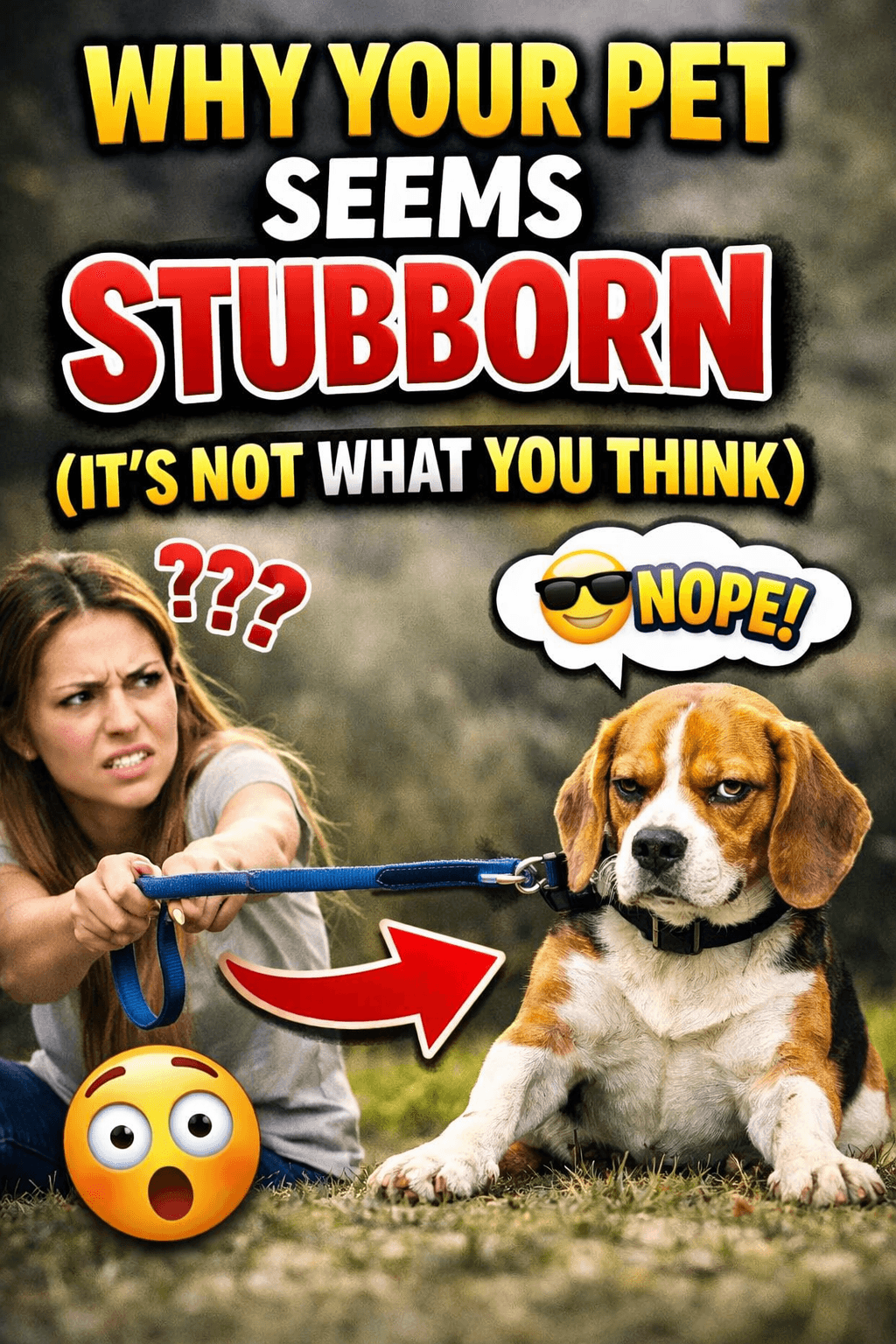 Why Your Pet Seems Stubborn (It’s Not What You Think)